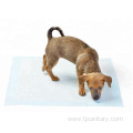 Pet training pad with four sizes